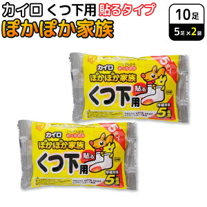 ACXI[} ۂۂƑ \ p JC 5×2Zbg(10) ĝăJC h΍ C ʊw ₦@\^Cv p 5Ԏ  ΍ O W[ A