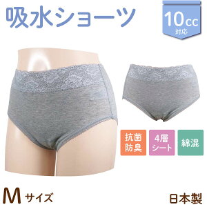 { 10cc zV[c wlp EGXg[X p VjA y Tj^[ @O[ M/L/LL 3TCYI yփpc ARpc pA zivL 4w\ ȍ [X 