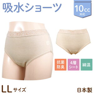 { 10cc zV[c wlp EGXg[X p VjA y Tj^[ @x[W M/L/LL 3TCYI yփpc ARpc zivL pA 4w\ ȍ [X 