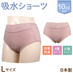 { 10cc zV[c wlp 炭炭 p VjA y Tj^[ @[Y M/L/LL 3TCYI@yփpc ARpc pA zivL 4w\ ȍ [X 