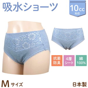 { 10cc zV[c 100 wlp p VjA y A Tj^[ @u[ M/L/LL 3TCYI yփpc ARpc zivL pA 4w\ ȍ [X 