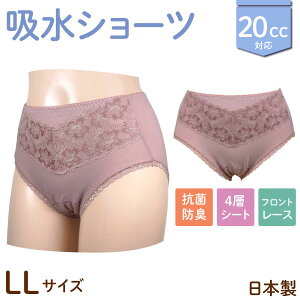 { 20cc zV[c ؂₩ tgV[X wlp p VjA y Tj^[  t[@[Y M/L/LL 3TCYI yփpc ARpc pA zivL 4w\