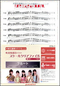 CFA1 tŷ߂̃XP[NAt@C yt[gz(bg[jOyt)