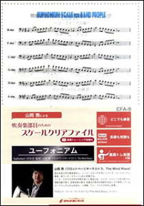 CFA9 tŷ߂̃XP[NAt@C y[tHjAz(bg[jOyt)