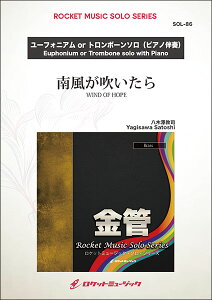 y SOL86 Vi/앗y[tHjAAg{[z(\RT[gEp[g[EV[Y)