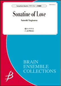 �y�� �����V���i/���̃\�i�`�l(�T�N�\�t�H�[��4�d�t)(Gr:4:T:��9:00)(ENMS-84454)