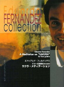 y GhDAhEtFifX/TNEfBe[V(M^[ldt̂߂)(GG228)