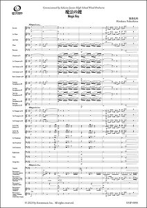 y Oa/@̌ytyXRAz(FMP-0096FS/302-18766/ty(XRA):Ґ/G.3+/T:06:20)