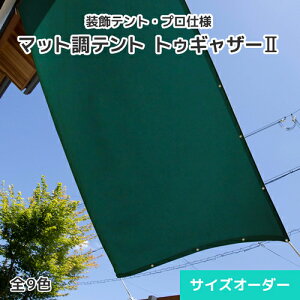 悯egEegEI[_[egV[gygDMU[IIz0.55mmE}bgE9F [547`638cm][251`300cm]  RbgCN ՔM ՔMeg X܃eg I[jO