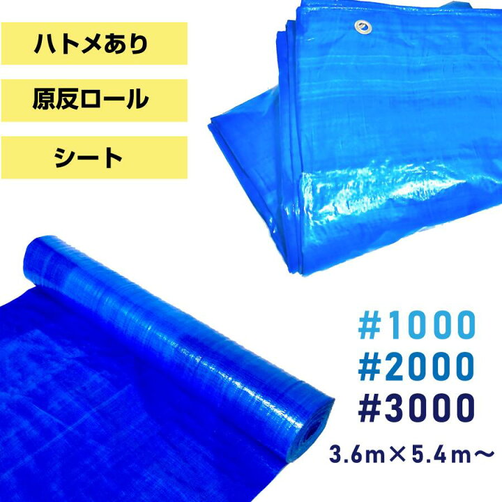 ブルーシート＃2000 10×10（2枚入り）中厚タイプ ハトメ付き 建築資材 