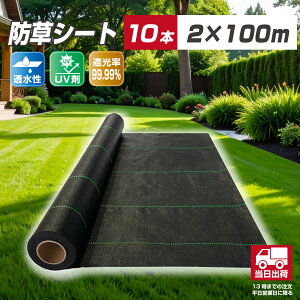 y10{ZbgE@l`EzhV[g2m×100m ϋvN4N~5N ʋC Ռ  UVܔz V[g G΍ Gh~V[g ܕsv 悯V[g h}b