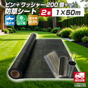 yZbgzhV[g1m×50m 2{{hV[gs{bV[ 200 Zbg ϋvN4N~5N ʋC Ռ  UVܔz V[gs bV[ G΍ Gh~ V[g lHŉ 