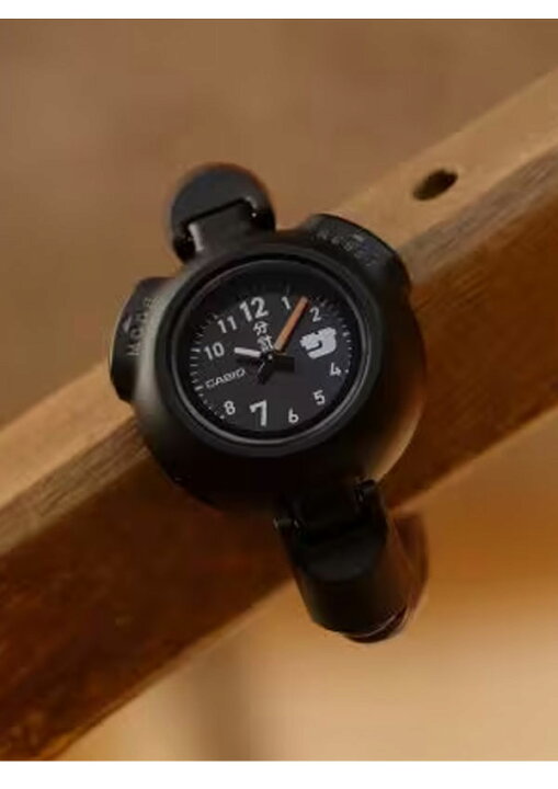 楽天市場】【即納】【国内正規品】カシオ CASIO SAN-100H-1BJR SAN 
