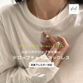 ネックレス 金属アレルギー 小ぶり ドロップ チャーム チェーン シンプル 華奢 シンプル チャーム ペンダント シルバー アジャスター 可愛い 人気 トレンド ギフト プレゼント 奥さん お母さん 30代 40代