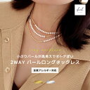 【最終日！10％OFFクーポン！2点買22%OFF】 ネックレス 金属アレルギー パール ロング チェーンネックレス 小ぶり パールネックレス レイヤード 重ね付け チェーン シンプル タッセル ペンダント シルバー アジャスター 可愛い 人気 トレンド ギフト プレゼント