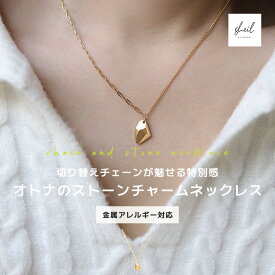 ネックレス 金属アレルギー ストーン チャーム レイヤード風 チェーン ペンダント シルバー アジャスター 可愛い 人気 トレンド ギフト プレゼント 奥さん お母さん 30代 40代 50代 プチプラ レディース