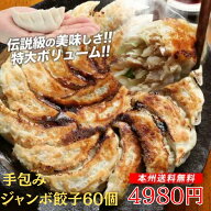 ≪本州限定送料無料≫｜手作りジャンボ餃子(ぎょうざ・ギョウザ)60個｜夜食点心セット｜本場中華｜国産素…