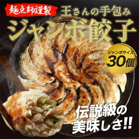 手作りジャンボ餃子30個！ 累計2000万個完売 餃子30個 絶品タレなし 冷凍食品ぎょうざ 生餃子 ギョウザ お歳暮 送料無料 プチギフト