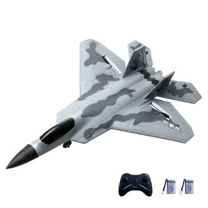 ���W�R����s�@ F-22 RC��s�@ �d�� ����ĊȒP�ɔ�΂��� �q���Ə��S�Ҍ����̃��W�R���O���C�_�[ �q�� ��l �j�̎q �� �v���[���g