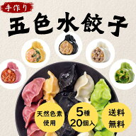 手作り彩り水餃子20個 お試し 食べ比べ 4個×5種類 彩り豊かな盛り合わせ お得 贈り物 お取り寄せ 映え餃…