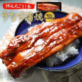 【完全赤字価格！】特大うなぎ蒲焼き200g(中国産)　鰻　丑の日 ウナギ おつまみ