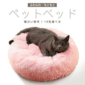 充実 ジャズ スラム 猫 暖かい グッズ Ramentei Com