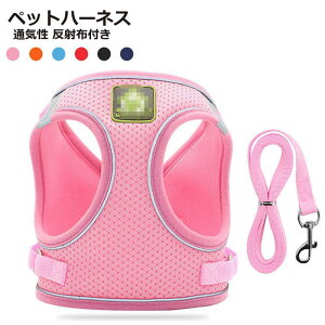  n[lX ėp IV S pi  ybgpi bV [h hbO lR L ʋC ˕zt o L ybg F  ߉\ Lpn[lX Lpi ˂ xg q