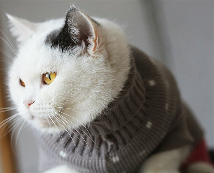 2点セット 犬 猫 グレー レッド M ケーブル編み ペット 洋服 ニット 新品 犬用品 犬 猫 ニット 冬 洋服 ペット 白 散歩 ケーブル編み 627