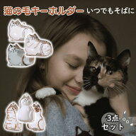 猫の毛 キーホルダー 【3個セット】ペットの毛 ペット 毛 猫 猫の毛を入れるキーホルダー メモリアル グ…