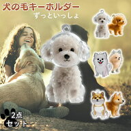 犬の毛を入れるキーホルダー 【2個セット】 遺毛ケース 犬 ペット 毛 ペットの毛を入れるキーホルダー 犬…