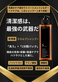 【お買い物マラソン期間限定価格　メンズ シャンプー SHommeシャンプー　銀座美容院　30代、40代、50代メンズおすすめ】メンズ 専用 送料無料　美容院専売　美容室　男性専用シャンプー　ベルガモット×ミントの香り　頭皮クレンジング　ボリューム　ハリコシ　頭皮ケア