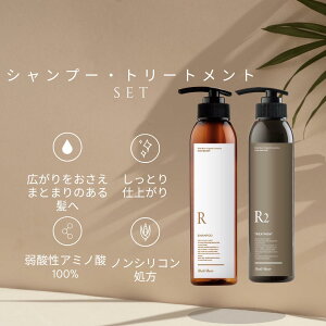 y30 40 50 fB[X Zbg Ƃ ɂ 500~ItN[|  eꔄizShellBearX Vv[ Ƃ300ml{g[gg Ƃ 295ml Zbg e@