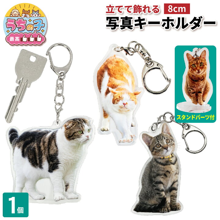 楽天市場】写真 8cm キーホルダー 1個 猫 写真 キーホルダー 立てて 