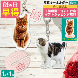 【4/10 10時～4/30 15:59限定 母の日早得1個増量】 写真 8cm キーホルダー 1個 猫 ラッピング 写真 キーホルダー 立てて飾れる うちの子最高 写真キーホルダー ペット 記念品 メモリアルグッズ ねこ ペットグッズ 猫用品 オーナーズグッズ キーホルダー 記念品 イチオシ 2P