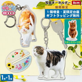 【マラソン限定 1個増量】 写真 8cm キーホルダー 1個 猫 写真 キーホルダー 立てて飾れる うちの子最高 写真キーホルダー アクリルスタンド ペット 記念品 メモリアルグッズ ねこ ペット ペットグッズ 猫用品 オーナーズグッズ アクスタ 記念品 送料無料 ラッピング 2P