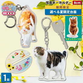 【夏限定台座】 写真 キーホルダー 8cm 1個 猫 写真キーホルダー アクスタ 立てて飾れる うちの子最高 アクキー アクリルスタンド フォト 台座付き カニカン メモリアルグッズ ペット 記念品 ねこ ペットグッズ 猫用品 オーナーズグッズ 記念品 プレゼント 愛猫 1P