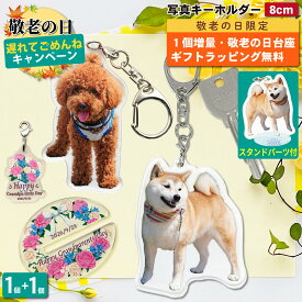 【敬老の日遅れてごめんねCP 1個増量】 写真 キーホルダー 犬 ペット 1個 写真キーホルダー アクリルスタンド うちの子最高 オーダーメイド アクスタ アクキー 両面印刷 飾れる 愛犬 記念品 メモリアル グッズ ギフト プレゼント 誕生日 いぬ オーナーズグッズ ラッピング 2P