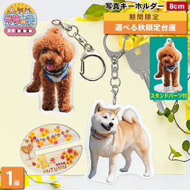 【秋限定台座】 写真 キーホルダー 犬 ペット 1個 写真キーホルダー 写真入り アクリルスタンド うちの子最高 オーダーメイド アクスタ アクキー 両面印刷 飾れる 愛犬 記念品 メモリアル グッズ ギフト プレゼント 誕生日 フォト いぬ 散歩 オーナーズグッズ　1P