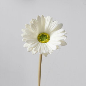 u6FIvWillingYou  u[P ԍ K[x CeA t[AWg kX^C lHϗtA  Vv ze ItBX X Ƃ̑ ̓ v[g Mtg 