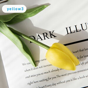 u13FIvWillingYou  u[P ԍ `[bv CeA t[AWg kX^C lHϗtA  Vv ze ItBX X Ƃ̑ ̓ v[g M