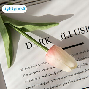 u13FIvWillingYou  u[P ԍ `[bv CeA t[AWg kX^C lHϗtA  Vv ze ItBX X Ƃ̑ ̓ v[g M