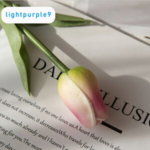 u13FIvWillingYou  u[P ԍ `[bv CeA t[AWg kX^C lHϗtA  Vv ze ItBX X Ƃ̑ ̓ v[g M