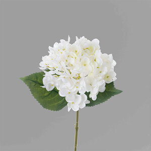 u15FIv  ԍ  CeA t[AWg kX^C lHϗtA  Vv ze ItBX X Ƃ̑ ̓ v[g Mtg ̂܂܏