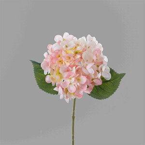 u15FIv  ԍ  CeA t[AWg kX^C lHϗtA  Vv ze ItBX X Ƃ̑ ̓ v[g Mtg ̂܂܏