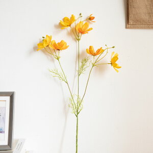 u5FIvWillingYou  i`[ RXX ԉŃu[P EFfBOu[P CeA t[AWg kX^C lHϗtA  Vv ze ItBX X Ƃ