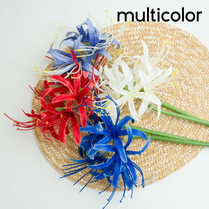 u4FIvtFCNt[  1{Zbg ފ݉ p[v bh zCg u[ Εf u[P ͂Ȃ ԏ lHϗtA CeA u ʐ^Be v[g  