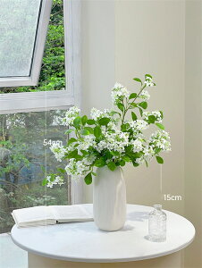 tFCNO[ }  H85cm Piԍ  A[eBtBVt[ 1{ O[ƉԕrZbg CeA O[AW tFCN A[gt[  ϗtA 