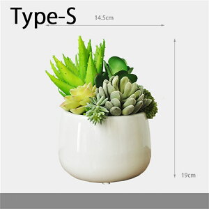 uvtFCNO[ ϗtA tFCN lHϗtA 21 A T{e  G} ~j A 1Zbg CeA ~j~ O[  G    e