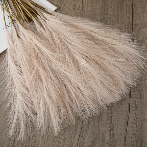 u3FIvWillingYou  u[P ԍ ppXOX CeA t[AWg kX^C lHϗtA  Vv ze ItBX X Ƃ̑ ̓ v[g M