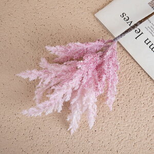 u10FIvWillingYou  u[P ԍ ppXOX CeA t[AWg kX^C lHϗtA  Vv ze ItBX X Ƃ̑ ̓ v[g 